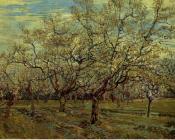 Orchard with Blossoming Plum Trees